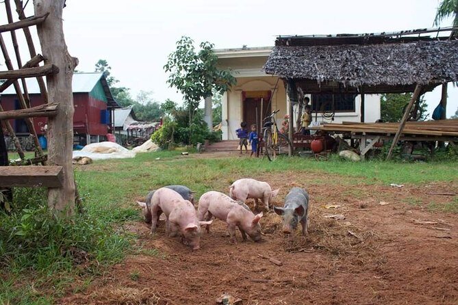 Private Siem Reap Quad Bike Adventure - Sunset-Style Riding: Why the Ending Matters