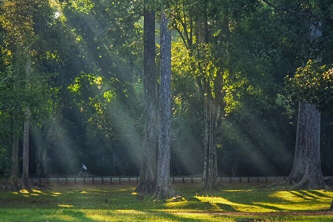 Private Sunrise and Sunset Angkor Park Tour with Rest Mid-Day - Ta Prohm early: the Angelina Jolie film connection without the late-day crush