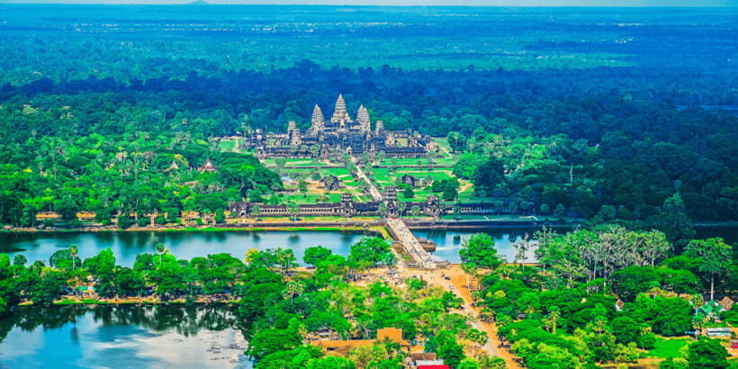Private Sunrise Angkor Wat Tour - Ta Prohm and the Spung roots: the best kind of surreal
