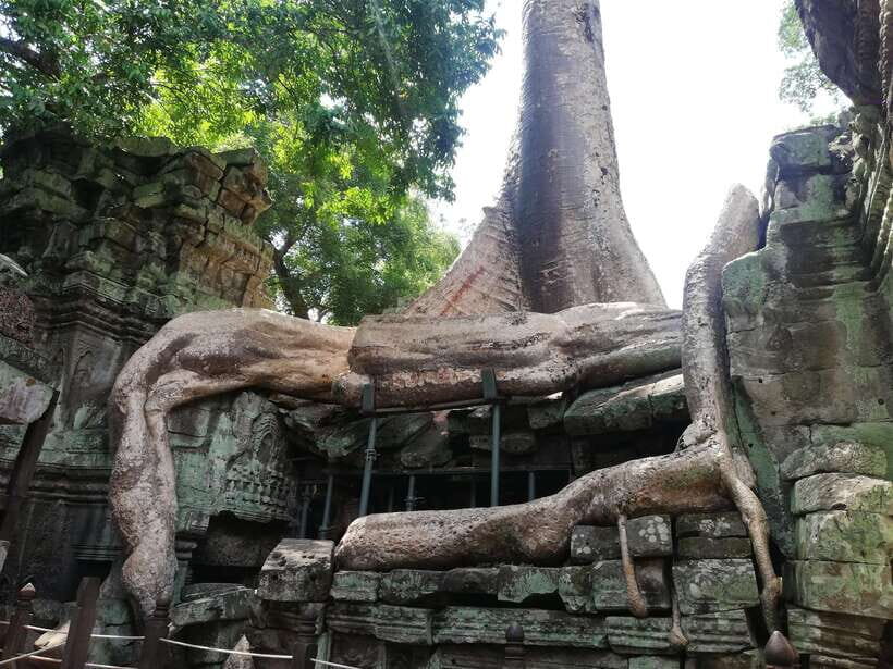 Private Sunrise Angkor Wat Tour - Who this tour is best for in real life