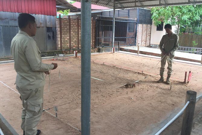 Private Tour: HERO Rats & Angkor National Museum - Booking advice: small checks that prevent big surprises