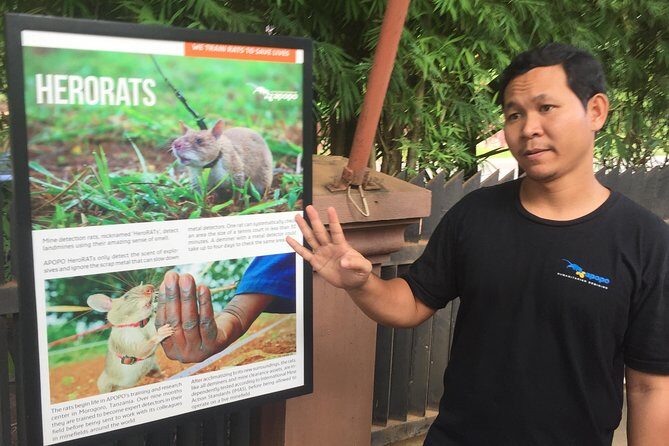 Private Tour: HERO Rats & Angkor National Museum - Should you book the Private Tour: HERO Rats & Angkor National Museum?