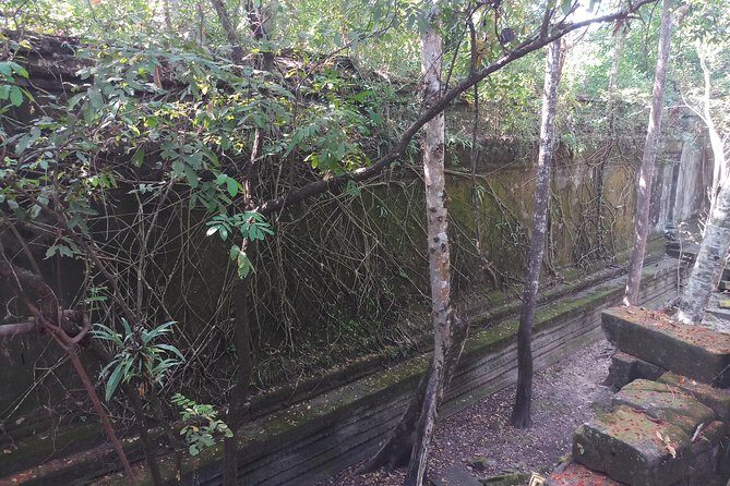 Private Tour to Beng Mealea Jungle Temple and Koh Ker - The Angkor pass link and the real entrance-fee math