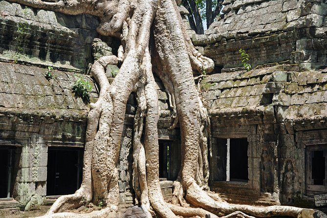 Private Tuk Tuk Tour to Angkor Wat and Small Circle with Two Extras - Why this 9–10 hour Angkor Wat tuk tuk loop is a smart use of time