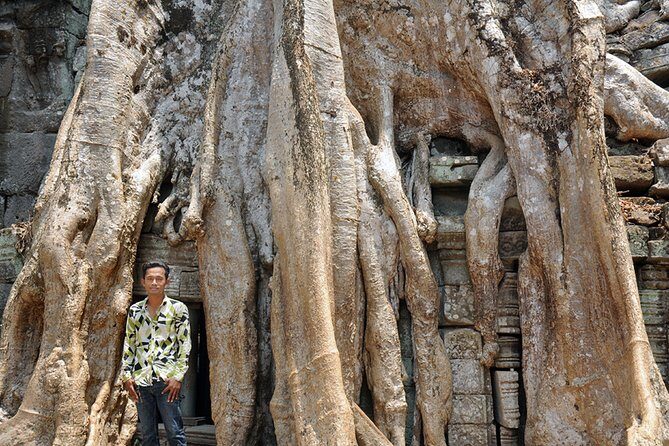 Private Tuk Tuk Tour to Angkor Wat and Small Circle with Two Extras - Banteay Kdei and Ta Prohm: jungle temples with very different vibes