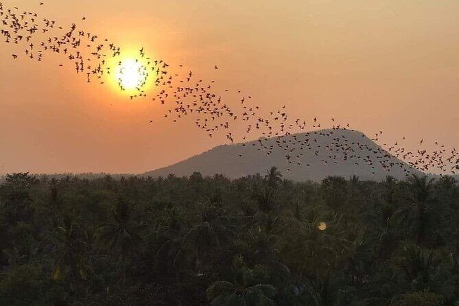 Sacred Siem Reap Tours - Price and Logistics: What $100 Buys in Real Life