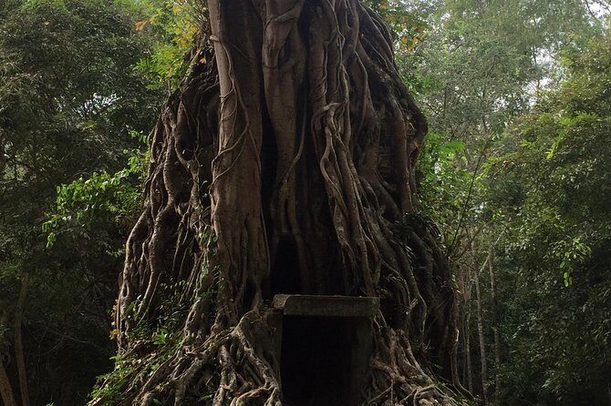 Sambor Prei Kuk Off Beaten Track - Why Sambor Prei Kuk feels different from Angkor Day Tours