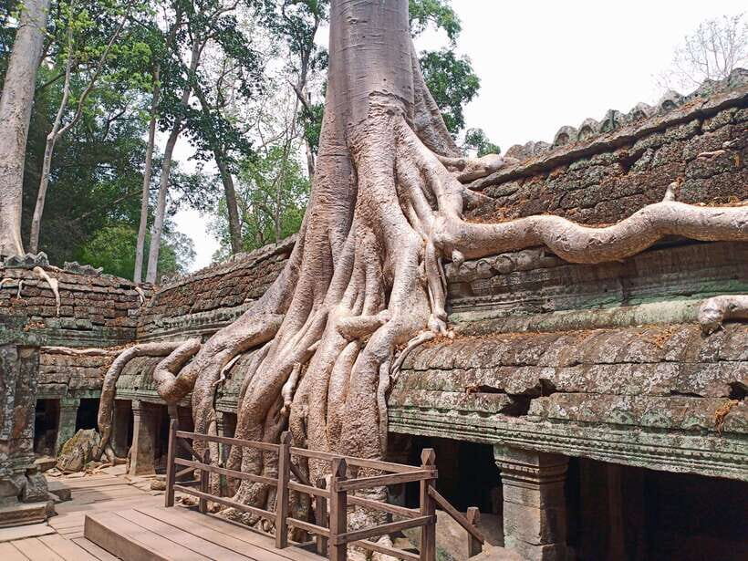 Sharing Trip to Angkor Temple with sunset - Angkor Wat: walk in early, look longer
