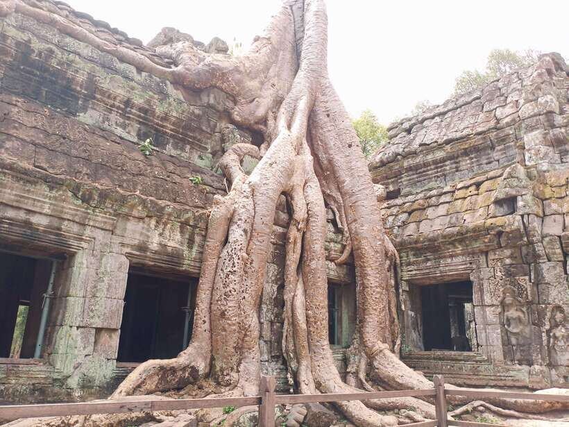 Sharing Trip to Angkor Temple with sunset - Terrace of the Elephants and the Royal Palace esplanade: where power gets translated into stone