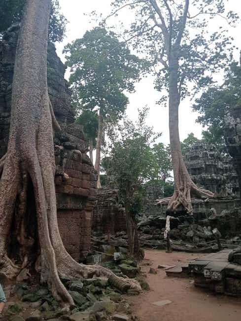 Siem Reap: 1-Day Angkor Group Tour with Italian Guide - Baphuon and Bayon: panoramic views and the Temple of Smiles