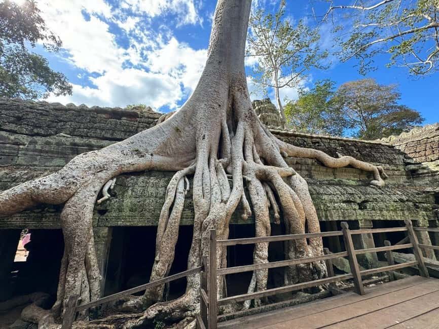 Siem Reap: 1-Day Angkor Group Tour with Italian Guide - Angkor Wat: causeway, galleries, and upper-terrace views