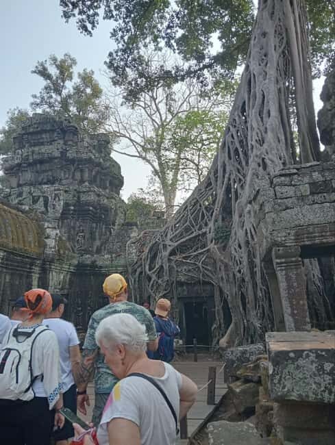 Siem Reap: 1-Day Angkor Group Tour with Italian Guide - Tickets, lunch, and the real value of the price