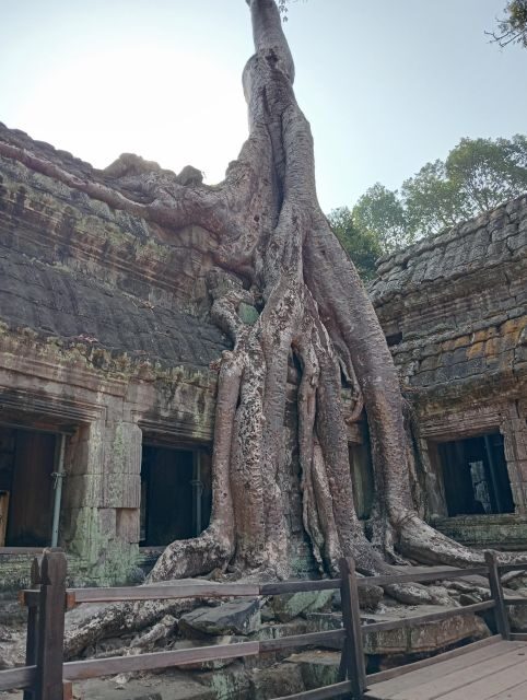 Siem Reap: 1-Day Angkor Wat Tour in Portuguese - Price and ticket math: is $70 good value?