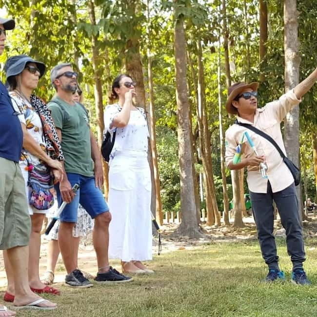 Siem Reap: 1-Day Angkor Wat Tour in Portuguese - Ta Prohm: where the jungle and stones share the stage