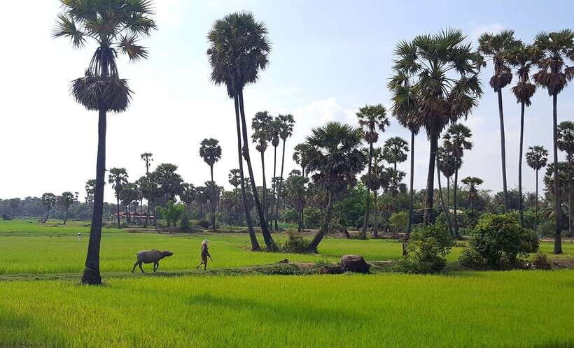 Siem Reap: 3-Hour Ancient Trails Motorbike Tour - Pradak Market and a Pagoda Meet: The Culture Stops That Feel Personal