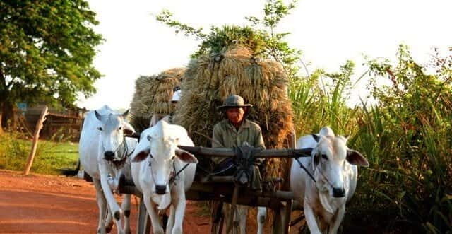 Siem Reap: 3-Hour Ancient Trails Motorbike Tour - Price and Value at $44: Is It a Good Deal?