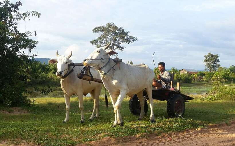Siem Reap: 6-Hour Easy Rider Motorbike Tour - Value check: what $62 includes and why it feels fair