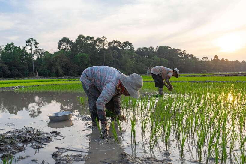 Siem Reap: Afternoon Cooking Class & Village Tour - Should you book Siem Reap’s Afternoon Cooking Class & Village Tour?