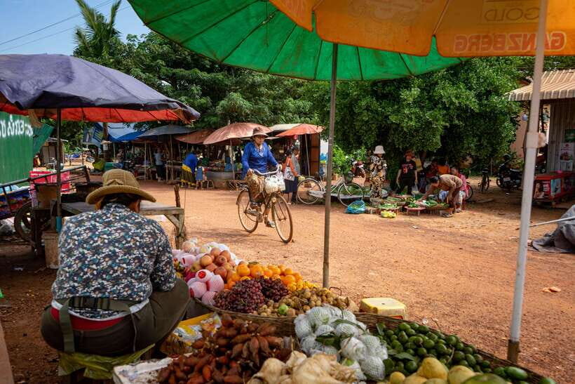 Siem Reap: Afternoon Cooking Class & Village Tour - From hotel pickup through rice paddies and temple roads