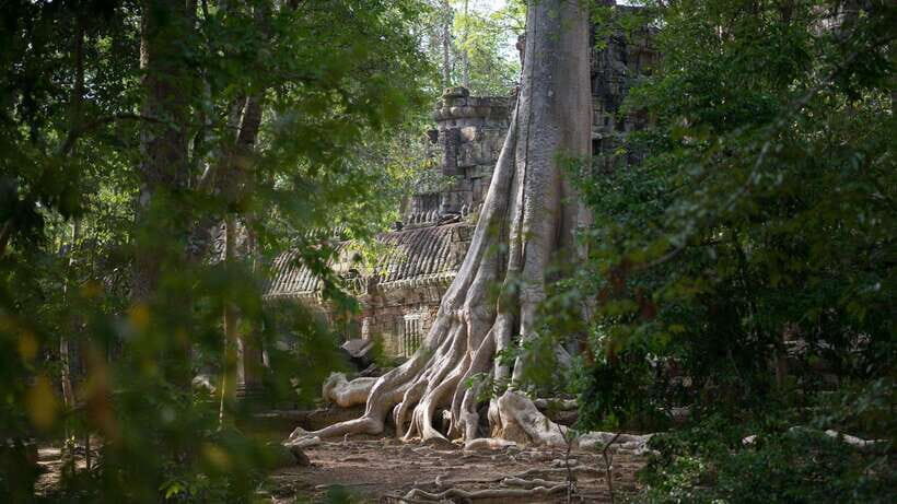 Siem Reap: Angkor Temples Off-Track Bicycle Tour - From packed temples to temple-jungle connections
