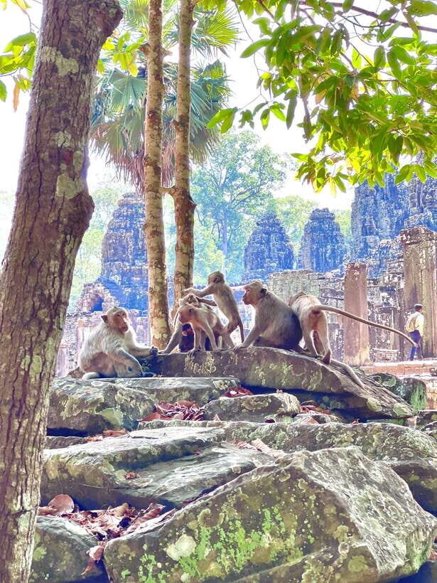 Siem Reap: Angkor Wat Private full Day Tour - Should you book this tour?