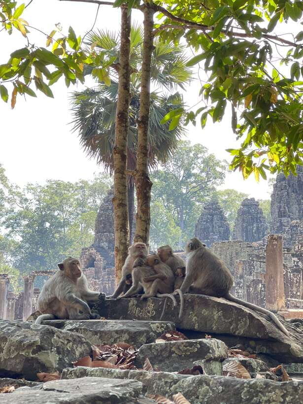 Siem Reap: Angkor Wat Private full Day Tour - Who should book this Angkor Wat private full day tour
