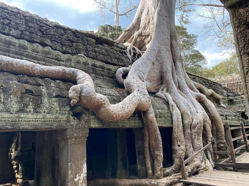 Siem Reap: Angkor Wat Small-Group Day Tour - Price and value: $28 tour + $37 Angkor ticket + lunch