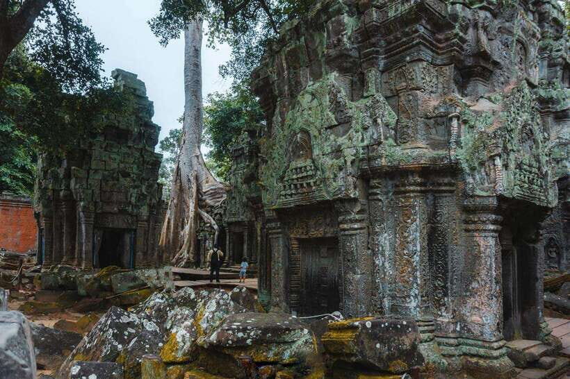 Siem Reap: Angkor Wat Small-Group Full Day Tour and Sunset - Ta Prohm: The Temple That Looks Like a Film Set