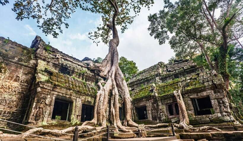 Siem Reap: Angkor Wat Small-group Sunrise or Sunset Tour - Ta Prohm: The Jungle Temple Moment and How to See It Without Rushing