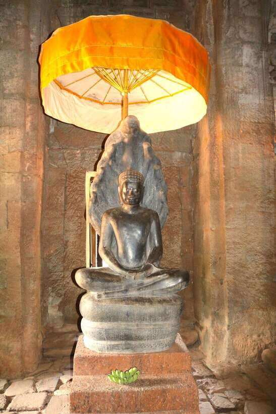 Siem Reap: Angkor Wat: Small-Group with Sunset Tour - Ta Prohm: Jungle Temple Time That Changes the Mood