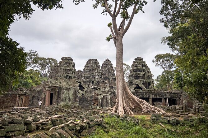 Siem Reap: Angkor Wat Sunrise Bike Tour & Jungle Breakfast - Price and what you truly get for $75