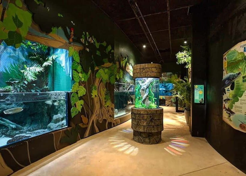 Siem Reap: Angkor Wildlife & Aquarium Entrance Ticket - Key highlights that make this ticket worth your time