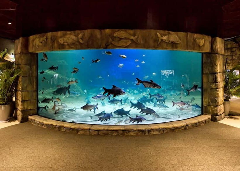 Siem Reap: Angkor Wildlife & Aquarium Entrance Ticket - Your $20 Value: entry to both wildlife and aquarium zones