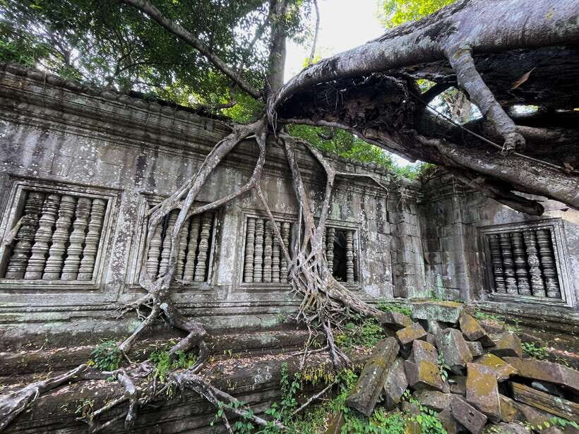 Siem Reap: Beng Mealea, Banteay Srei & Kulen Waterfall Trip - Lunch near Banteay Srei: plan for the one thing not included