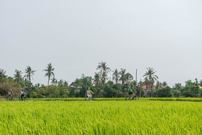 Siem Reap: Countryside Sunset Bike Tour / E-Bike or Tuk Tuk - Key highlights worth aiming for