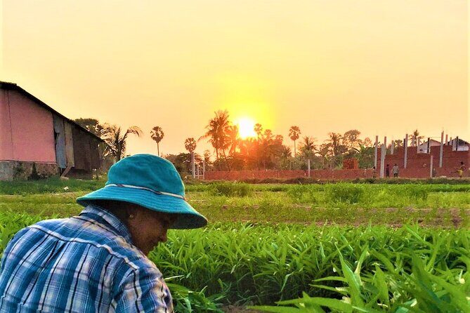 Siem Reap Countryside Sunset Jeep Tour - Half-day - The peaceful sunset finale over rice paddies