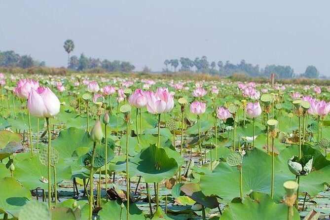 Siem Reap Countryside Sunset Jeep Tour - Half-day - What you get for $50: value check (and what you should expect)