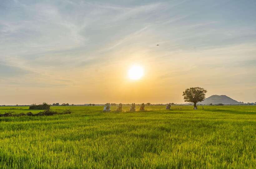 Siem Reap Countryside Sunset Vespa Tour or Tuk Tuk - A Siem Reap Sunset Plan That Gets You Off the Main Loop