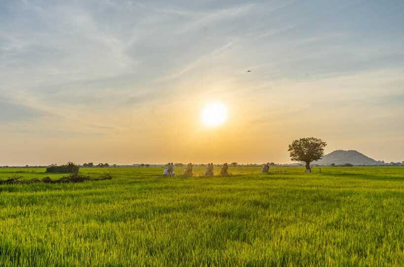Siem Reap Countryside Sunset Vespa Tour or Tuk Tuk - Group Size, Rain-or-Shine, and What to Pack