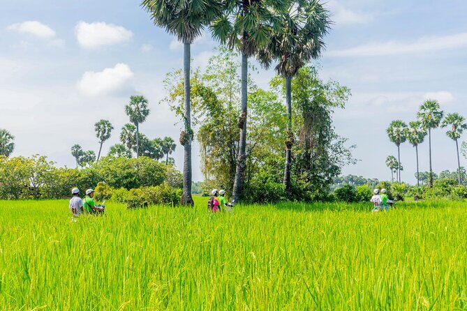 Siem Reap Countryside Vespa Tour / Tuk Tuk Available - Picking Up Your Driver and Vespa in Siem Reap (7:45 Start)