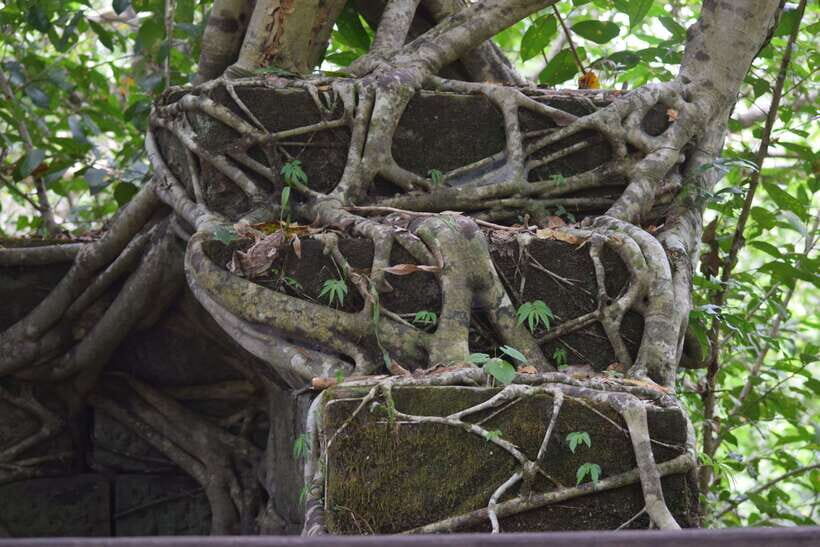 Siem Reap: Day Trip to Koh Ker and Beng Mealea Temples - Beng Mealea break time and lunch: planning for an extra cost