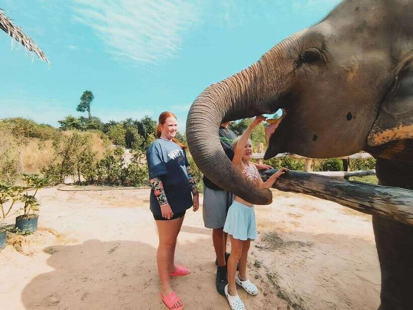 Siem Reap: Elephant Sanctuary Included Hotel Pickup Drop-off - Hotel Pickup in Krong Siem Reap: Simple, Shared, and Not Always Exact