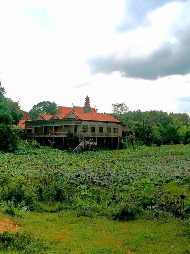 Siem Reap: Fishing in the rice fields, in the villages of Siem Reap - Why this Siem Reap fishing day feels different