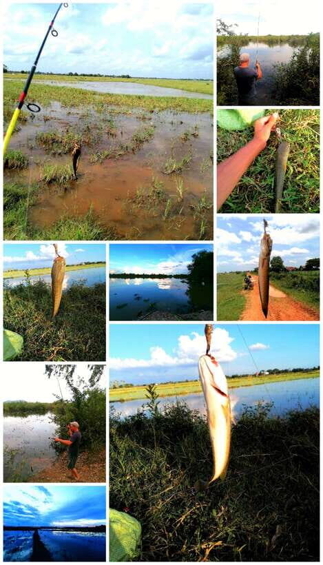 Siem Reap: Fishing in the rice fields, in the villages of Siem Reap - Market stop: a quick look at Khmer daily rhythm