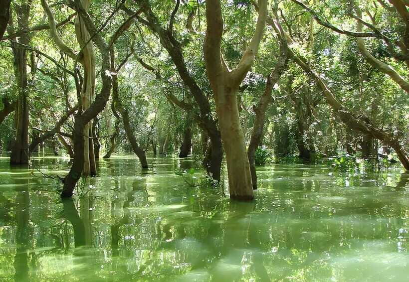 Siem Reap: Floating Village, Kampong Phluk Private Tour - Price and Value: Is $36 a Fair Deal?