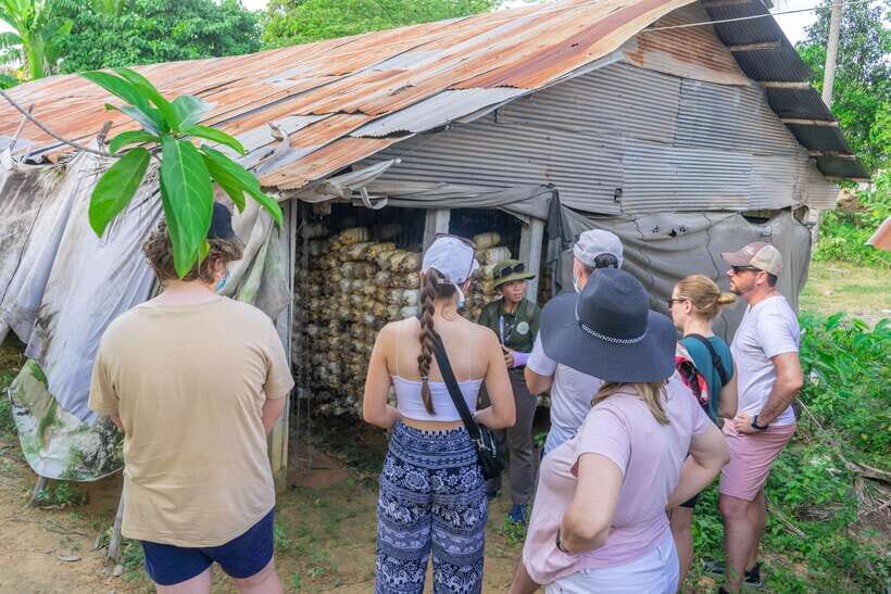 Siem Reap Floating Village Sunset Jeep Tour or SUV Car - Rice paddies and a local family home: what to watch for
