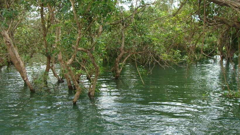 Siem Reap Floating Village Tour, Kompong Phluk Tour - Key highlights you’ll actually remember