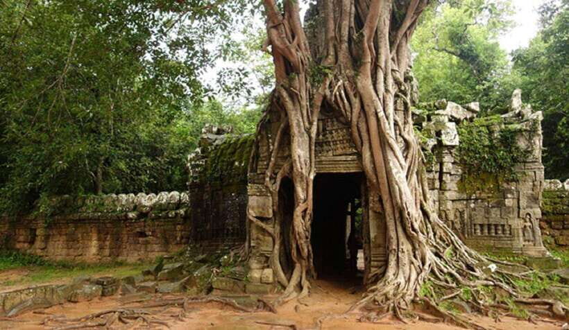 Siem Reap: Grand Circle Temples Tour With Private Tuk-Tuk - How the Private Tuk-Tuk Adds Real Value (Not Just Comfort)