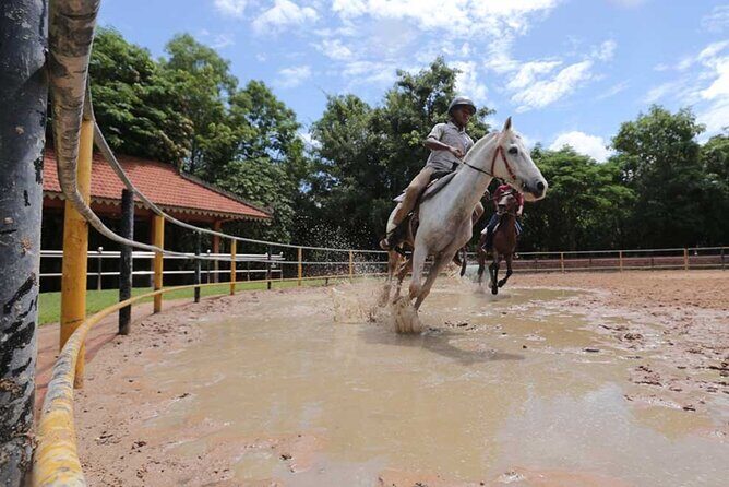 Siem Reap Happy Horse Riding Free Pick-up & Drop-off - Key Highlights at a Glance