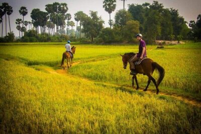 Siem Reap Happy Horse Riding Free Pick-up & Drop-off - Picking Your Ride: 1–3 Hours and Four Different Routes